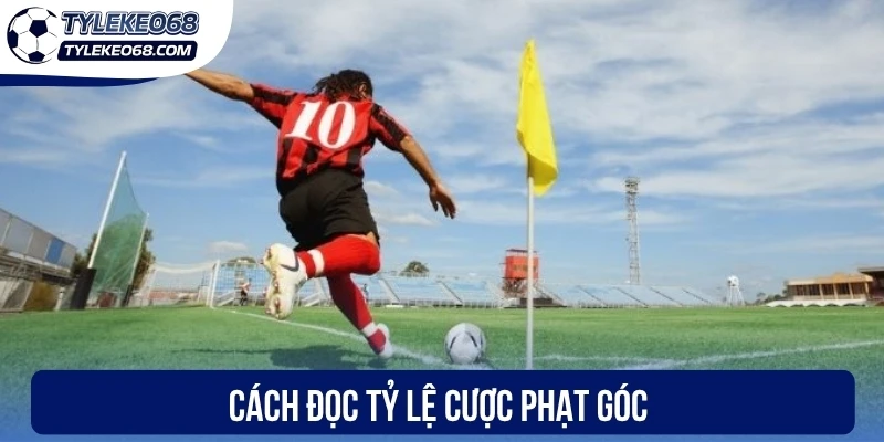 Kèo Phạt Góc - Cách Đọc Bảng Odds Và Mẹo Hốt Bạc Hay 2 Cách đọc tỷ lệ cược phạt góc