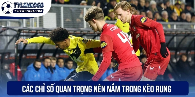 Kèo Rung - Cách Nhận Diện Biến Động Tỷ Lệ Tại Nhà Cái 2 Chuyển đến nội dung chínhChuyển đến thanh công cụ
Giới thiệu về WordPress
Tỷ lệ kèo 68
00 bình luận cần kiểm duyệt
Tạo mới
Rank Math SEO
Xin chào, Anh Tuấn
Tùy chọn màn hìnhHỗ trợ
Thêm Bài Viết
Dismiss this notice
Bỏ qua thông báo này
Thông báo SEO: post đã xuất bản trước đó đã được chuyển vào thùng rác. Bạn có thể chuyển hướng https://www.ivaanapparels.in.net/nha-cai-uy-tin/uk88-2/ đến một URL mới.
Bỏ qua thông báo này
Thêm tiêu đề
Kèo Rung - Cách Nhận Diện Biến Động Tỷ Lệ Tại Nhà Cái
Bỏ qua để biên tập
Đường dẫn tĩnh: https://boga888.tv/keo-rung/ Chỉnh sửa
Thêm MediaTrực quanMã
Đoạn
p » i » span
Số từ: 1115 Bản nháp được lưu lúc 17:29:54.
Di chuyển lênDi chuyển xuốngChuyển đổi bảng điều khiển: Chọn Giải Đấu
-- Chọn giải đấu --
Di chuyển lênDi chuyển xuốngChuyển đổi bảng điều khiển: Xuất bản
Xem trước(mở trong cửa sổ mới)
Trạng thái: Bản nháp Chỉnh sửaChỉnh sửa trạng thái
Hiển thị: Công khai Chỉnh sửaChỉnh sửa độ rõ nét
Xuất bản ngay lập tức Chỉnh sửaChỉnh sửa ngày tháng và thời gian
Lock Modified Date
SEO: 83 / 100
Bỏ vào thùng rác
Di chuyển lênDi chuyển xuốngChuyển đổi bảng điều khiển: Danh mục
Tất cả danh mục Dùng nhiều nhất
Cẩm Nang Soi Kèo
Top Nhà Cái
Uncategorized
+ Thêm Danh Mục
Di chuyển lênDi chuyển xuốngChuyển đổi bảng điều khiển: Ảnh đại diện
Đặt ảnh đại diện
Di chuyển lênDi chuyển xuốngChuyển đổi bảng điều khiển: Content AI
Di chuyển lênDi chuyển xuốngChuyển đổi bảng điều khiển: Thẻ
Di chuyển lênDi chuyển xuốngChuyển đổi bảng điều khiển: Đề xuất Liên kết
Chúng tôi không thể hiển thị bất kỳ đề xuất liên kết nào cho bài viết này. Hãy thử chọn danh mục và thẻ cho bài viết này và đánh dấu các bài viết khác là nội dung cốt lõi để chúng hiển thị ở đây.
Di chuyển lênDi chuyển xuốngChuyển đổi bảng điều khiển: Rank Math SEO
Tổng quan
Nâng cao
Schema
Mạng xã hội
https://boga888.tv/keo-rung/
Kèo Rung - Cách Nhận Diện Biến Động Tỷ Lệ Tại Nhà Cái -...
Kèo rung đòi hỏi kỹ năng đọc bảng kèo nhạy bén từ anh em giúp xác định thời điểm vàng vào tiền hợp nhằm tăng tỷ lệ chiến thắng khi cá cược.
Chỉnh sửa đoạn trích
Từ khóa chínhChèn các từ khóa bạn muốn xếp hạng. Cố gắng đạt 100/100 điểm để có cơ hội xếp hạng tốt hơn.
83 / 100
Lưu ý cảnh báo
Đọc ở đây để Đạt điểm 100/100
Bài viết này là nội dung cốt lõi
SEO cơ bản
Tất cả đều tốt
Tuyệt vời! Bạn đang sử dụng từ khoá chính trong Tiêu đề SEO.
Đã sử dụng từ khoá chính trong Mô tả Meta SEO.
Từ khóa chính đã được sử dụng trong URL.
Từ khoá chính xuất hiện trong 10% nội dung đầu tiên.
Đã tìm thấy từ khoá chính trong nội dung.
Nội dung dài 1126 từ. Làm tốt lắm!
Bổ sung
2 Lỗi
Khả năng đọc tiêu đề
Tất cả đều tốt
Khả năng đọc nội dung
1 Lỗi
Di chuyển lênDi chuyển xuốngChuyển đổi bảng điều khiển: Insert Script to <head>
Di chuyển lênDi chuyển xuốngChuyển đổi bảng điều khiển: Nhập video youtube
Link video:
Cảm ơn bạn đã sử dụng Rank MathPhiên bản 6.9.4
Thông báoLink inserted.
Không tìm thấy kết quả.
Đóng hộp thoại
Thêm tệp media
Hành động
Tải lên tệp mớiChọn từ thư viện Media
Mở rộng chi tiết
Lọc mediaLọc theo loại
Tất cả
Lọc theo ngày
Tất cả các ngày
Tìm tệp media
Danh sách media
Đang hiển thị 84 của 2494 file media
Tải thêm
Chi tiết tệp đính kèm
cac-chi-so-quan-trong-nen-nam-trong-keo-rung.webp
2 Tháng 5, 2026
107 KB
800 dài và rộng 400 pixel
Sửa ảnh
Xóa vĩnh viễn
WP Rocket recommends you to optimize your images for even better website performance.
Install Imagify Plugin
Văn bản thay thế
Tạo văn bản thay thế
Xem cách mô tả nội dung ảnh(mở trong cửa sổ mới). Để trống nếu ảnh chỉ dùng làm hiệu ứng trang trí.Tiêu đề
cac-chi-so-quan-trong-nen-nam-trong-keo-rung
Chú thích
Mô tả
Liên kết của tệp tin:
https://boga888.tv/wp-content/uploads/2026/05/cac-chi-so-quan-trong-nen-nam-trong-keo-rung.webp
Sao chép liên kết
Các trường bắt buộc được đánh dấu *
Loại trừ tệp đính kèm này khỏi sơ đồ trang web
Tùy chọn hiển thị nội dung đính kèm
Căn chỉnh
Chính giữa
Liên kết tới
Không có
Kích thước
Kích thước đầy đủ – 800 × 400
Hành động cho các media đã được chọn
đã chọn 1 item
Xóa
Chèn vào bài viết
Không có tệp nào được chọn