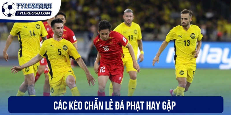 Các kèo chẵn lẻ đá phạt hay gặp