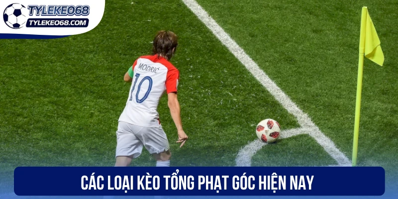 Các loại kèo tổng phạt góc hiện nay