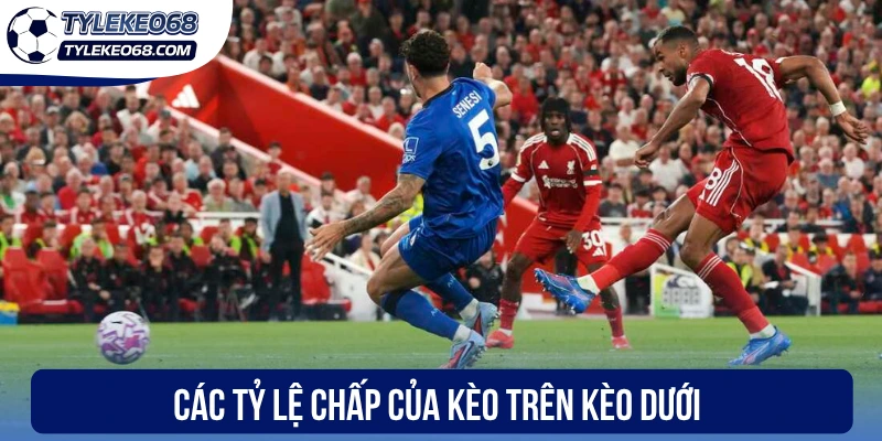 Các tỷ lệ chấp của kèo trên kèo dưới