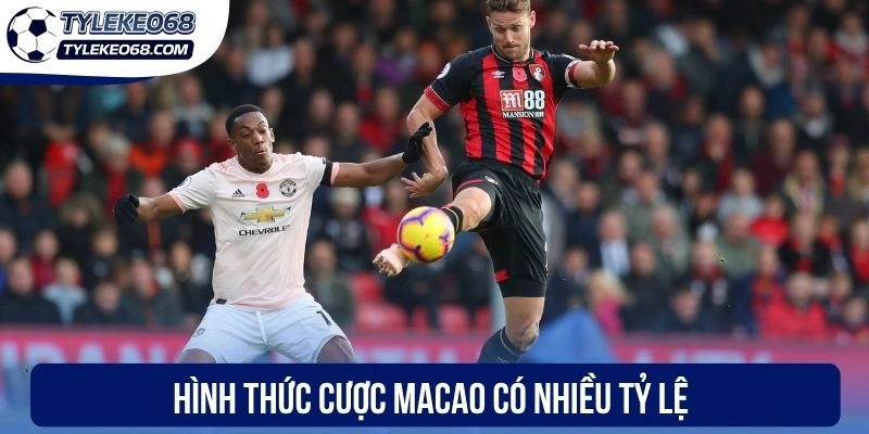 Hình thức cược Macao có nhiều tỷ lệ