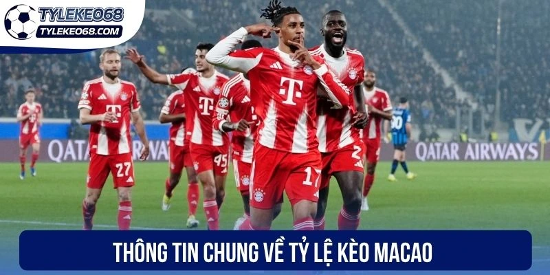 Thông tin chung về tỷ lệ kèo Macao