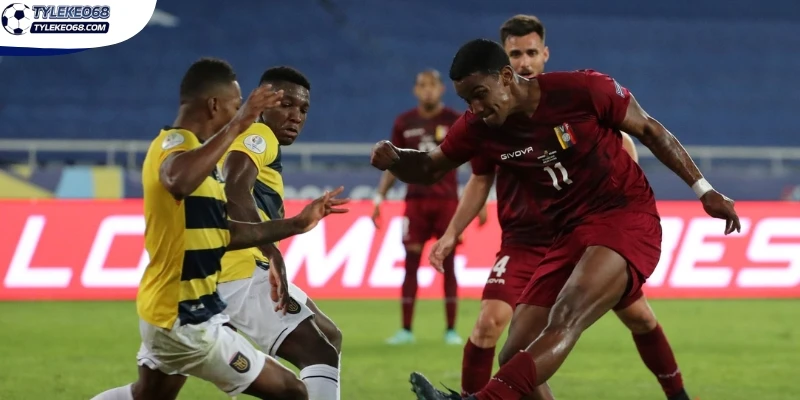 Phân tích tỷ lệ odds châu Âu trận Ecuador vs Đức