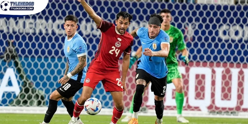 Tỷ Lệ Kèo Thụy Sĩ Vs Canada - Bảng B World Cup 02h00 25/06/2026 3 Sơ đồ dự kiến ra sân của hai đội Thuỵ Sĩ vs Canada